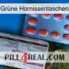 Grüne Hornissenlaschen 36
